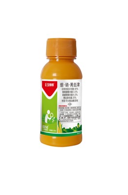 玉棒棒