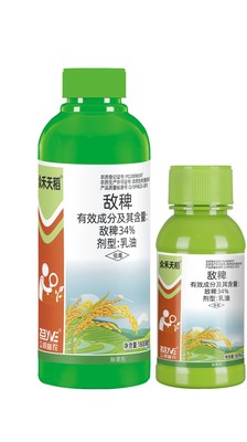 天稻